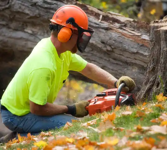 tree services Culbertson